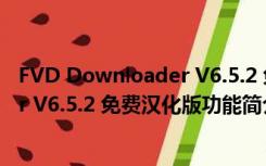 FVD Downloader V6.5.2 免费汉化版（FVD Downloader V6.5.2 免费汉化版功能简介）