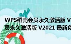 WPS稻壳会员永久激活版 V2021 最新免费版（WPS稻壳会员永久激活版 V2021 最新免费版功能简介）