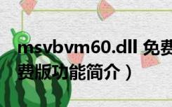 msvbvm60.dll 免费版（msvbvm60.dll 免费版功能简介）