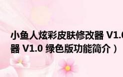 小鱼人炫彩皮肤修改器 V1.0 绿色版（小鱼人炫彩皮肤修改器 V1.0 绿色版功能简介）