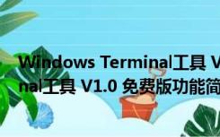 Windows Terminal工具 V1.0 免费版（Windows Terminal工具 V1.0 免费版功能简介）