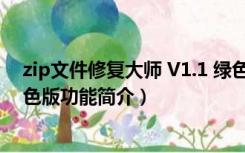 zip文件修复大师 V1.1 绿色版（zip文件修复大师 V1.1 绿色版功能简介）