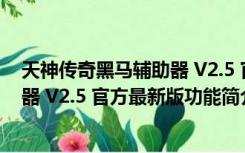 天神传奇黑马辅助器 V2.5 官方最新版（天神传奇黑马辅助器 V2.5 官方最新版功能简介）