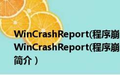 WinCrashReport(程序崩溃查看器) V1.23 绿色免费版（WinCrashReport(程序崩溃查看器) V1.23 绿色免费版功能简介）