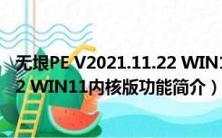 无垠PE V2021.11.22 WIN11内核版（无垠PE V2021.11.22 WIN11内核版功能简介）