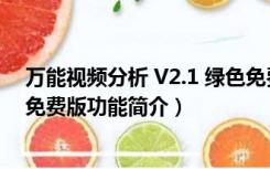 万能视频分析 V2.1 绿色免费版（万能视频分析 V2.1 绿色免费版功能简介）