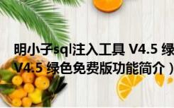 明小子sql注入工具 V4.5 绿色免费版（明小子sql注入工具 V4.5 绿色免费版功能简介）