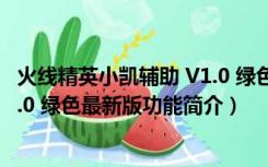 火线精英小凯辅助 V1.0 绿色最新版（火线精英小凯辅助 V1.0 绿色最新版功能简介）