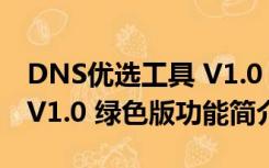 DNS优选工具 V1.0 绿色版（DNS优选工具 V1.0 绿色版功能简介）