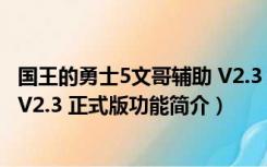 国王的勇士5文哥辅助 V2.3 正式版（国王的勇士5文哥辅助 V2.3 正式版功能简介）