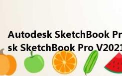 Autodesk SketchBook Pro V2021 官方最新版（Autodesk SketchBook Pro V2021 官方最新版功能简介）