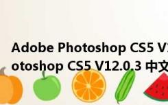 Adobe Photoshop CS5 V12.0.3 中文绿色版（Adobe Photoshop CS5 V12.0.3 中文绿色版功能简介）