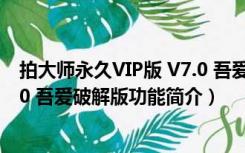 拍大师永久VIP版 V7.0 吾爱破解版（拍大师永久VIP版 V7.0 吾爱破解版功能简介）