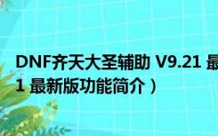 DNF齐天大圣辅助 V9.21 最新版（DNF齐天大圣辅助 V9.21 最新版功能简介）