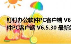 钉钉办公软件PC客户端 V6.5.30 最新免费版（钉钉办公软件PC客户端 V6.5.30 最新免费版功能简介）