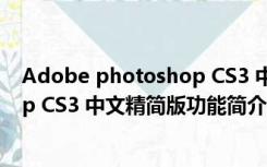 Adobe photoshop CS3 中文精简版（Adobe photoshop CS3 中文精简版功能简介）