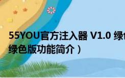 55YOU官方注入器 V1.0 绿色版（55YOU官方注入器 V1.0 绿色版功能简介）