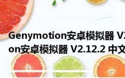 Genymotion安卓模拟器 V2.12.2 中文免费版（Genymotion安卓模拟器 V2.12.2 中文免费版功能简介）