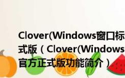 Clover(Windows窗口标签化工具) V3.5.2.19809 官方正式版（Clover(Windows窗口标签化工具) V3.5.2.19809 官方正式版功能简介）