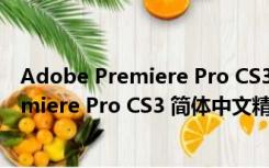 Adobe Premiere Pro CS3 简体中文精简版（Adobe Premiere Pro CS3 简体中文精简版功能简介）