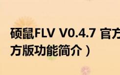 硕鼠FLV V0.4.7 官方版（硕鼠FLV V0.4.7 官方版功能简介）