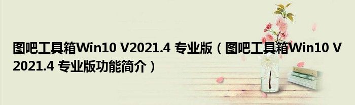 图吧工具箱Win10 V2021.4 专业版（图吧工具箱Win10 V2021.4 专业版功能简介）_51房产网