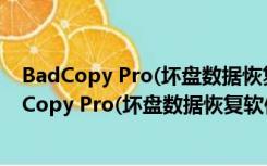 BadCopy Pro(坏盘数据恢复软件) V3.8 中文破解版（BadCopy Pro(坏盘数据恢复软件) V3.8 中文破解版功能简介）