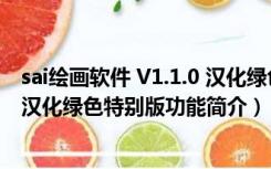 sai绘画软件 V1.1.0 汉化绿色特别版（sai绘画软件 V1.1.0 汉化绿色特别版功能简介）