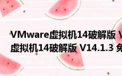 VMware虚拟机14破解版 V14.1.3 免费密钥版（VMware虚拟机14破解版 V14.1.3 免费密钥版功能简介）