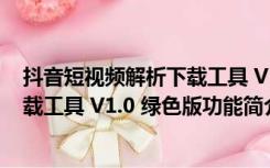 抖音短视频解析下载工具 V1.0 绿色版（抖音短视频解析下载工具 V1.0 绿色版功能简介）