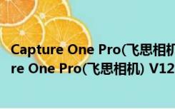 Capture One Pro(飞思相机) V12.0.0.291 免费版（Capture One Pro(飞思相机) V12.0.0.291 免费版功能简介）