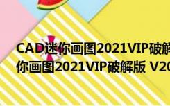 CAD迷你画图2021VIP破解版 V2021R8 免费版（CAD迷你画图2021VIP破解版 V2021R8 免费版功能简介）