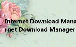 Internet Download Manager V6.39.8 破解免费版（Internet Download Manager V6.39.8 破解免费版功能简介）