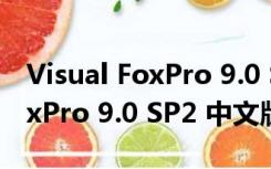 Visual FoxPro 9.0 SP2 中文版（Visual FoxPro 9.0 SP2 中文版功能简介）