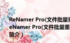 ReNamer Pro(文件批量重命名工具) V7.1 绿色中文版（ReNamer Pro(文件批量重命名工具) V7.1 绿色中文版功能简介）