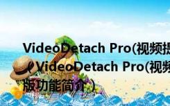 VideoDetach Pro(视频提取音频图片软件) V1.2.9 官方版（VideoDetach Pro(视频提取音频图片软件) V1.2.9 官方版功能简介）