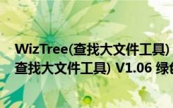 WizTree(查找大文件工具) V1.06 绿色免费版（WizTree(查找大文件工具) V1.06 绿色免费版功能简介）