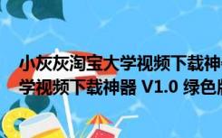 小灰灰淘宝大学视频下载神器 V1.0 绿色版（小灰灰淘宝大学视频下载神器 V1.0 绿色版功能简介）