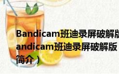 Bandicam班迪录屏破解版 V6.0.2.2024 注册码最新版（Bandicam班迪录屏破解版 V6.0.2.2024 注册码最新版功能简介）