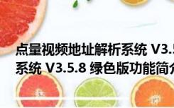 点量视频地址解析系统 V3.5.8 绿色版（点量视频地址解析系统 V3.5.8 绿色版功能简介）