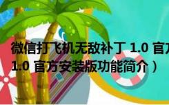 微信打飞机无敌补丁 1.0 官方安装版（微信打飞机无敌补丁 1.0 官方安装版功能简介）