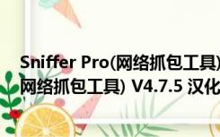 Sniffer Pro(网络抓包工具) V4.7.5 汉化版（Sniffer Pro(网络抓包工具) V4.7.5 汉化版功能简介）