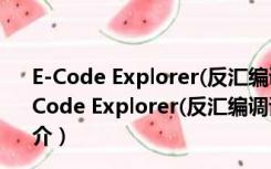 E-Code Explorer(反汇编调试工具) V0.80 绿色免费版（E-Code Explorer(反汇编调试工具) V0.80 绿色免费版功能简介）