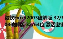 微软Excel2003破解版 32/64位 激活密钥版（微软Excel2003破解版 32/64位 激活密钥版功能简介）