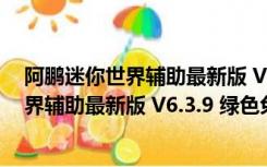 阿鹏迷你世界辅助最新版 V6.3.9 绿色免费版（阿鹏迷你世界辅助最新版 V6.3.9 绿色免费版功能简介）