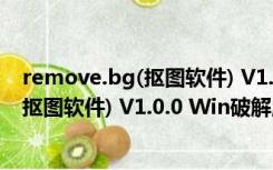 remove.bg(抠图软件) V1.0.0 Win破解版（remove.bg(抠图软件) V1.0.0 Win破解版功能简介）