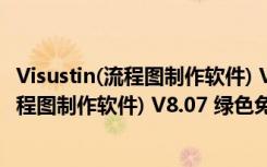 Visustin(流程图制作软件) V8.07 绿色免费版（Visustin(流程图制作软件) V8.07 绿色免费版功能简介）