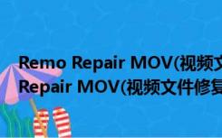 Remo Repair MOV(视频文件修复) V2.0 绿色版（Remo Repair MOV(视频文件修复) V2.0 绿色版功能简介）