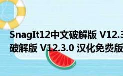 SnagIt12中文破解版 V12.3.0 汉化免费版（SnagIt12中文破解版 V12.3.0 汉化免费版功能简介）