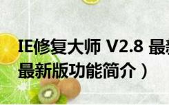 IE修复大师 V2.8 最新版（IE修复大师 V2.8 最新版功能简介）